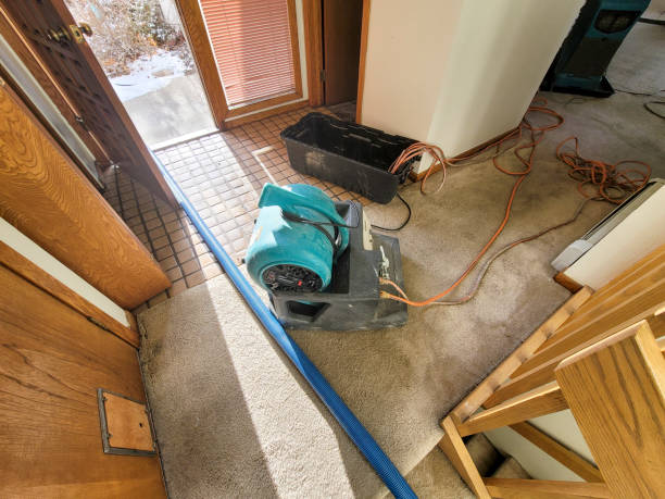 Best Emergency water extraction  in Stro Valley, CA