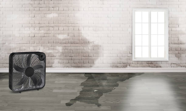  Stro Valley, CA Water damage restoration Pros